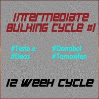 Intermediate Bulking Cycle #1