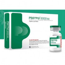 PDPREG HCG 5000IU 1 Vial